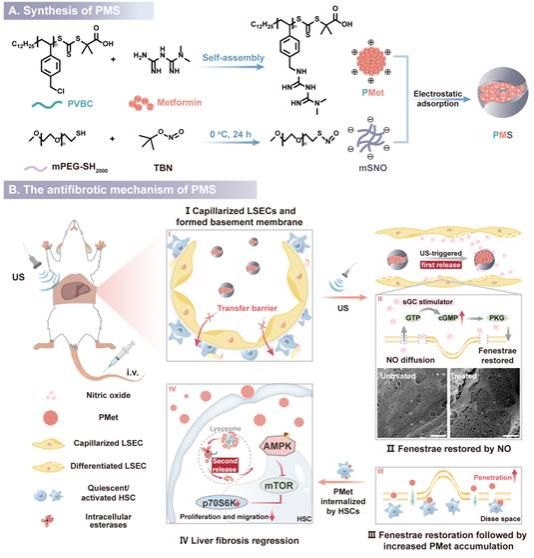 Liu et al_ToC